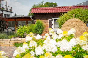 Гостиница Spreewald Pension Tannenwinkel  Люббенау/Шпревальд